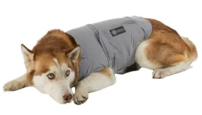 Anti Anxiety / Calming Coat for dogs - FINAL SALE