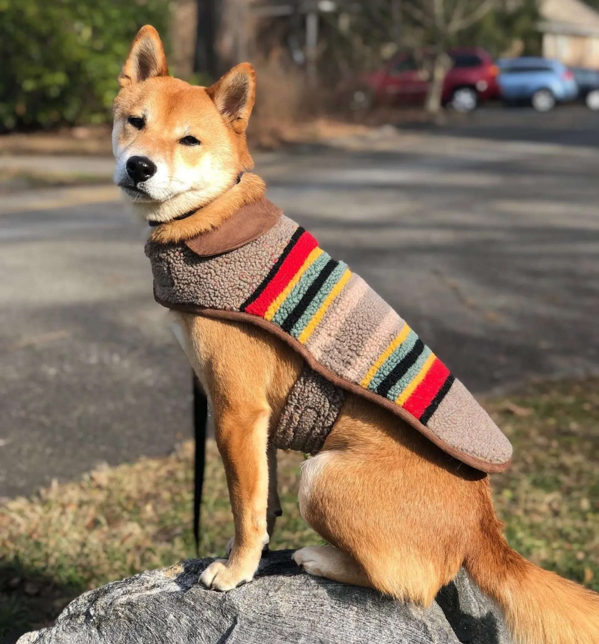 Pendleton Vintage Camp Coat | Mineral Umber
